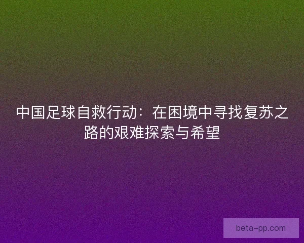 中国足球自救行动：在困境中寻找复苏之路的艰难探索与希望